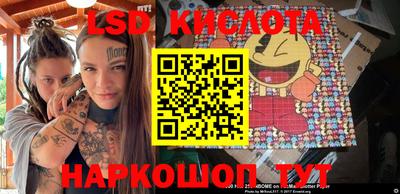 гашик Аргун