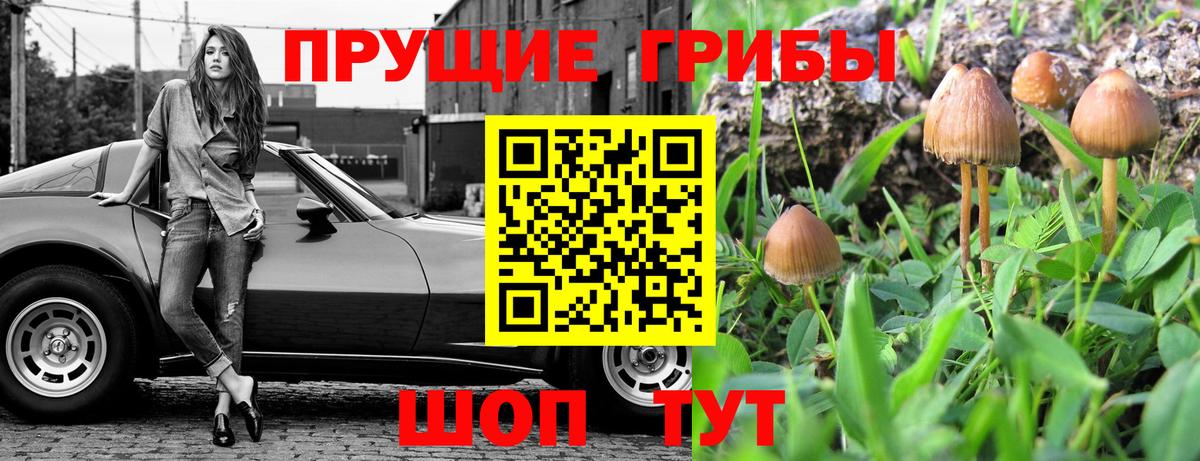 Галлюциногенные грибы мухоморы  Вход с VPN  Вязьма 