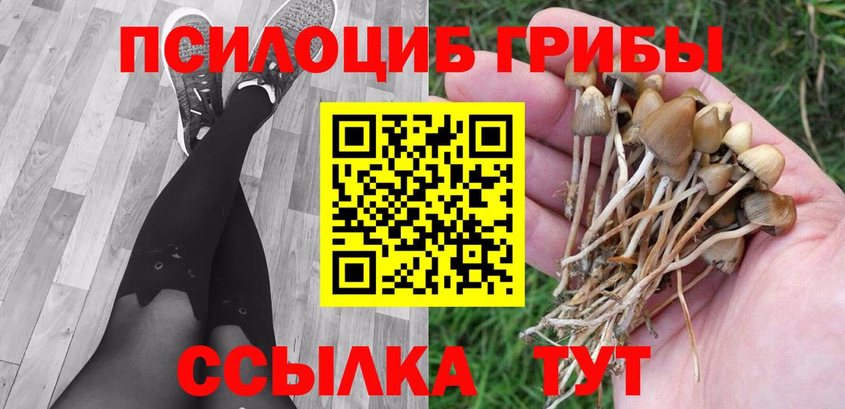 Гашиш Вязьма