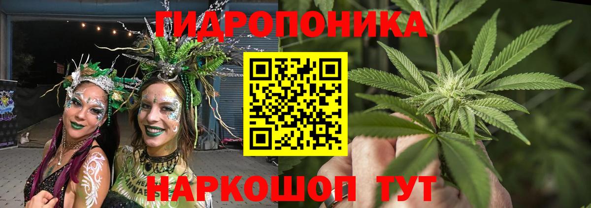 МАРИХУАНА семена  Бошки марихуана семена  Канабис конопля  Вход с VPN  Вязьма 